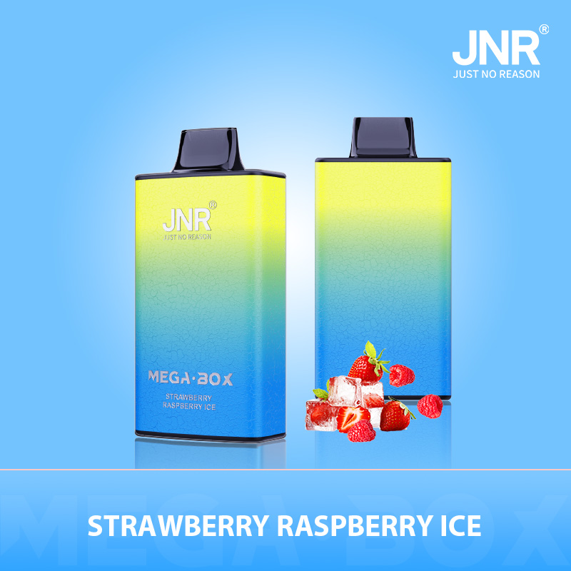 Jnr Mega Box 25000 - 25000 Puffs, 30ml E-liquid, 850mAh Battery, Diverse Flavors, Type-C Quick Charge